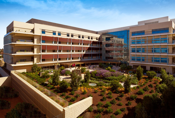 Contributions to Lucile Packard Children's Hospital Stanford