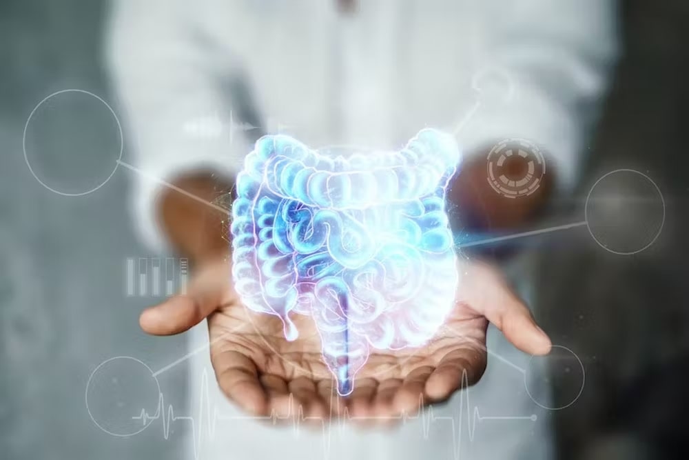 The Importance of Gut Health in Hormonal Regulation