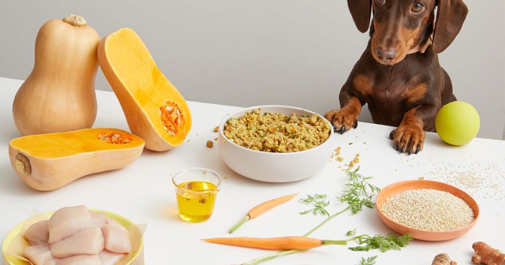 The Importance of Superfoods in Pet Nutrition