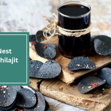 Wellness Nest Himalayan Shilajit