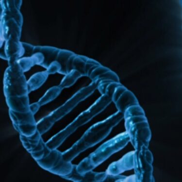 OB/GYN's Role in Cancer Prevention and Screening