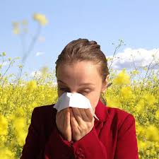 Exploring the Link Between Skin Allergies and Allergy Specialists
